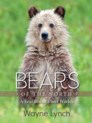 cover image of Bears of the North